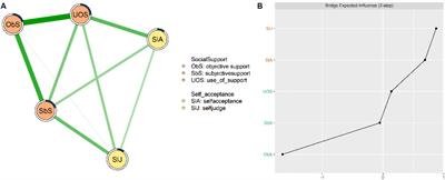Strengthening the meaning in life among college students: the role of self-acceptance and social support - evidence from a network analysis